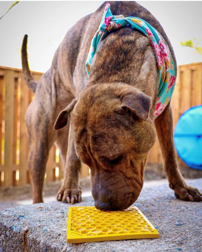 Small Pink Flower Power & Small Yellow Honeycomb eMat Lick Mat Bundle